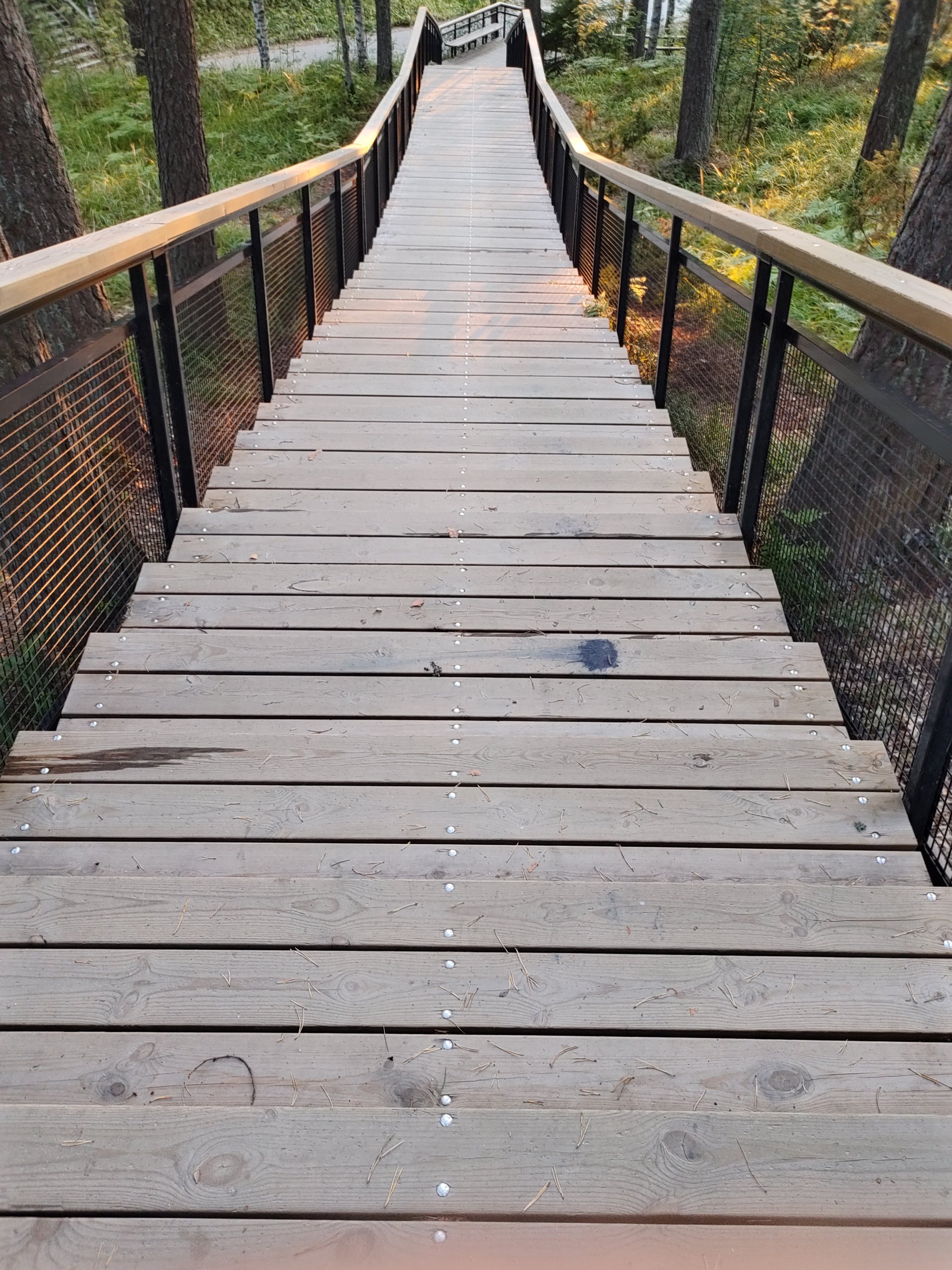 Nokia8.3_hdr_mode.jpg